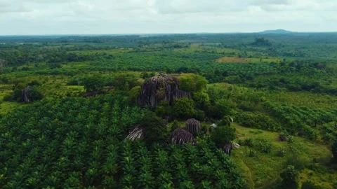 Dusty road going through green colored bushes leading to a big black rock Stock-Footage 291638484