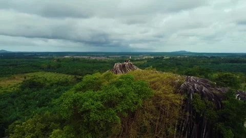 Dusty road going through green colored bushes leading to a big black rock Stock-Footage 291638577