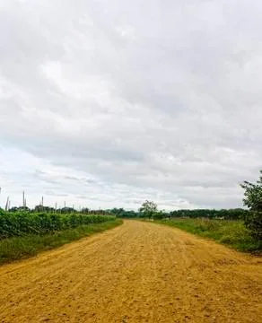 Dusty road Stock Photos