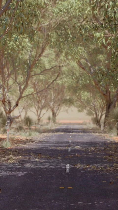 Dusty road surrounded by trees in an outback location on a sunny day Video stock 346880086