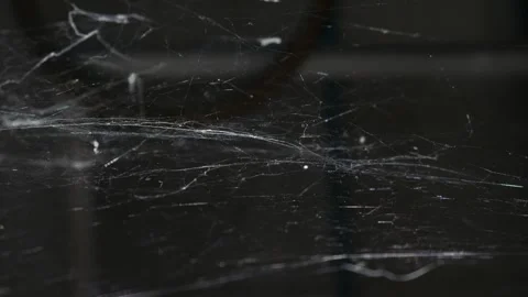 Dusty Spider Web in Corner with Cobwebs Stock Footage 326989602