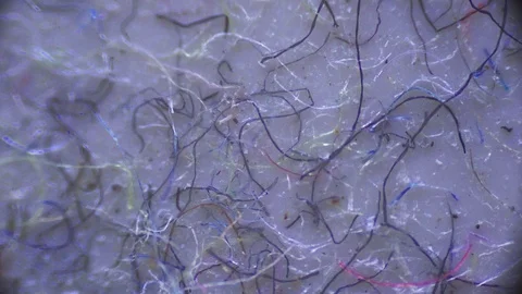 Dusty surface. dust under the microscope. Stock Footage 129415209
