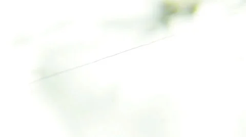 Dusty Web Spinning in Focus (White) Stock-Footage 65023963