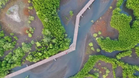 Duta Beach, Probolinggo, East Java, Indonesia	 Stock Footage 166358932