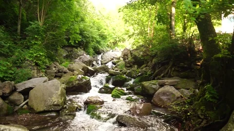 Duta Mountain Moss Valley Stream Flowing Scenery Stock Footage 310033644