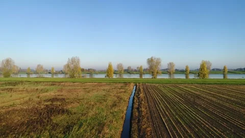 Dutch agricultural fields Stock Footage 289907830