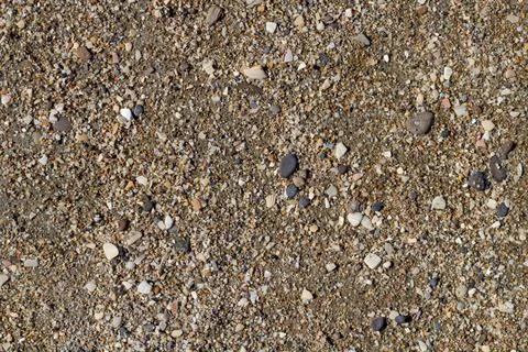 Dutch beach with lots of beautiful shells on the white sand. Stock Photos