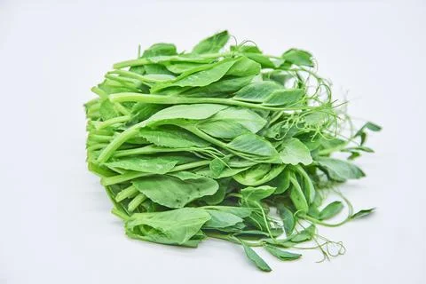 Dutch bean sprout vegetables on a white background Stock Photos