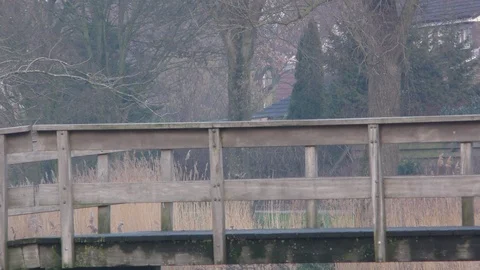 Dutch canal bridge 스톡 동영상 101540533
