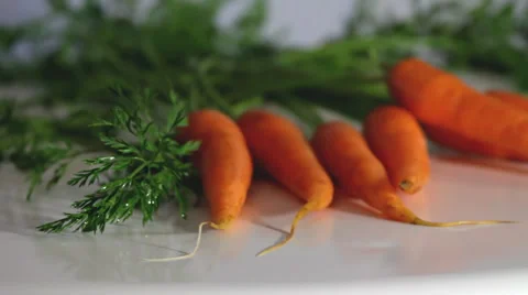 Dutch Carrot Stock Footage 2903293