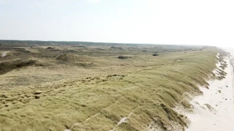 Dutch coast Stock Footage 259975520
