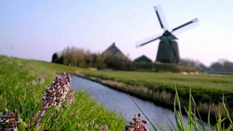 Dutch country windmill. Video stock 144106690