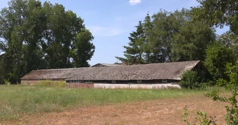 Dutch countryside, old barn with asbestos roof Stock Footage 93343853