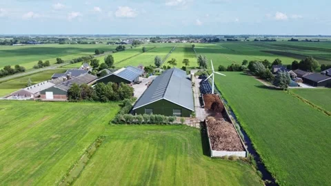 Dutch farm / 4K Stock Footage 249275952