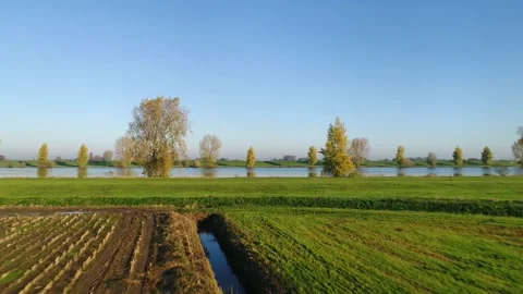 Dutch farm fields Stock Footage 289907914