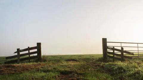 Dutch Farmland Gate Vidéo 42765784