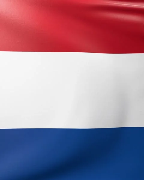 Dutch flag Stock Footage 302740979