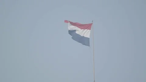 Dutch flag gracefully in wind Video stock 77875469