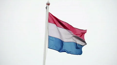 Dutch flag waving on white background 動画素材 660990