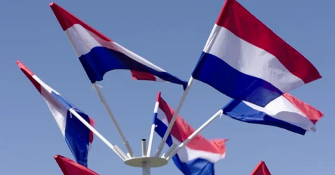 Dutch Flags sunny day 4K Netherlands Stock Footage 50908226