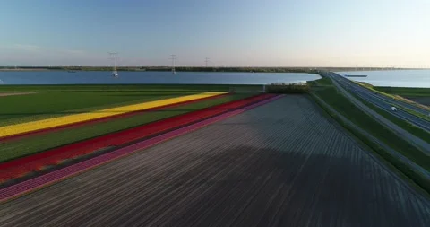 Dutch Flevopolder 库存影片 149266727