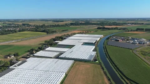 Dutch greenhouse complex aerial view from above Stock Footage 342813513