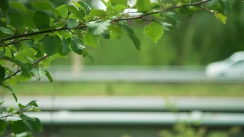 Dutch Highway  Stock Footage 131966270