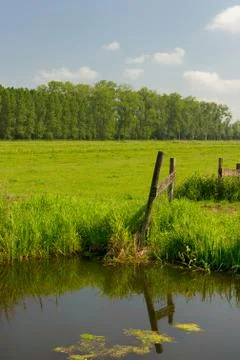Dutch landscape Foto stock