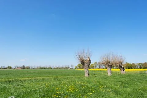 Dutch landscape Stock Photos
