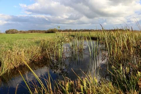 Dutch landscape Stock Photos