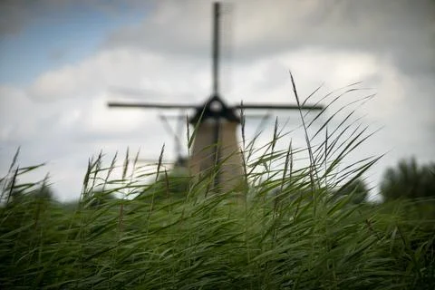 Dutch mill. Stock Photos