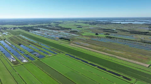Dutch narrow meadows with ponds Video stock 250093261
