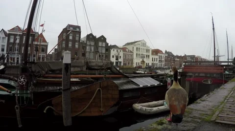 Dutch old houseboat floating house with renewable energie birds flying away 4k Stock Footage 59806234
