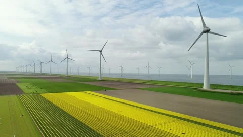 Dutch onshore windfarm in bulb fields with tulips Stock Footage 289952941