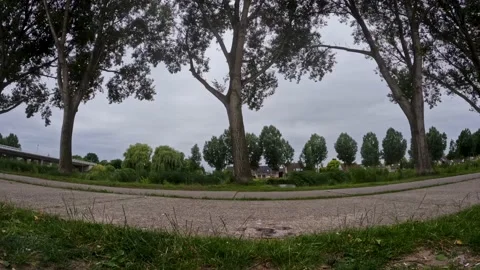 Dutch Park: A Timelapse Video stock 201441688