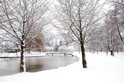 Dutch park in wintertime Foto stock