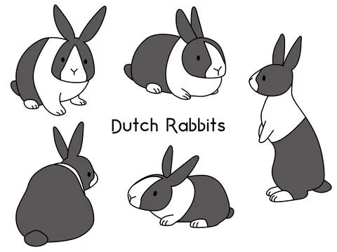 Dutch rabbit has 5 different poses. Stock Illustration
