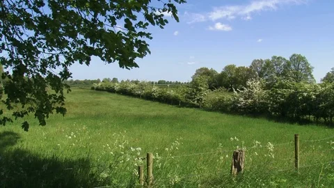 Dutch river forelands in spring, old agricultural landscape with hedgerows Stock Footage 107357165