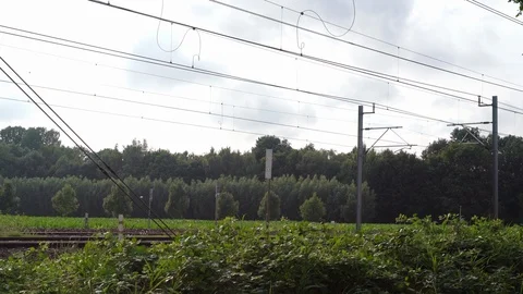 Dutch Sprinter train passing Видео 112360818