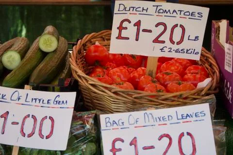 Dutch Tomatoes Stock Photos