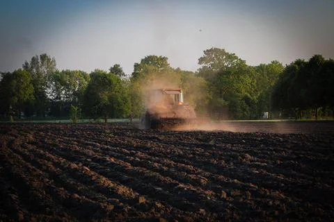 Dutch tractor on a field Foto stock