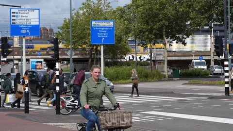 Dutch Traffic Light Slow Motion Stock Footage 81235333