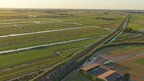 Dutch train traveling through green polder landscape at sunset Stock-Footage 342809749