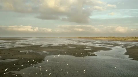 Dutch Wadden Sea Stock Footage 295323033