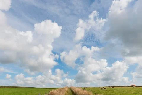 Dutch white clouds in blue sky with path on texel Stock Photos