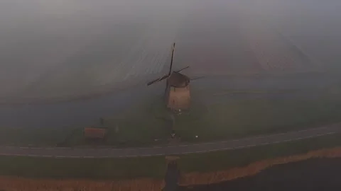 Dutch windmill drone shot over foggy tulip fields Vidéo 340347291
