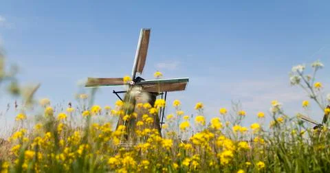 Dutch windmill in Kinderdijk Free Stock Photos