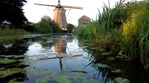 Dutch windmill with a mirror image in a pond. Stock Footage 174669767