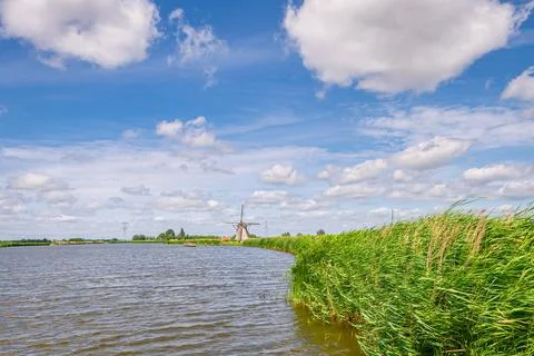 Dutch windmill over river Rotte with reeds and summer sky Stock Photos