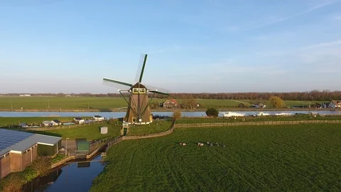 Dutch windmill surrounded by a river and grass with sheep and blue sky shot by d 動画素材 128385895
